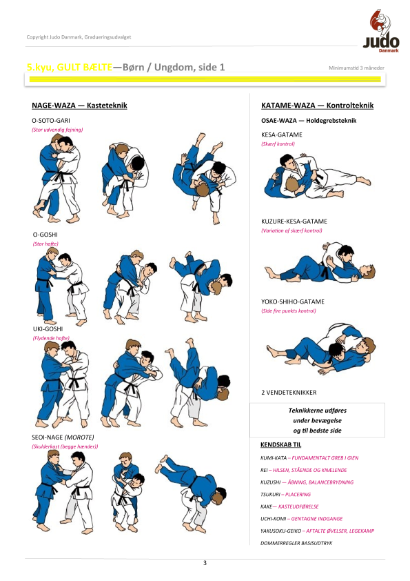 Judo pensum 31